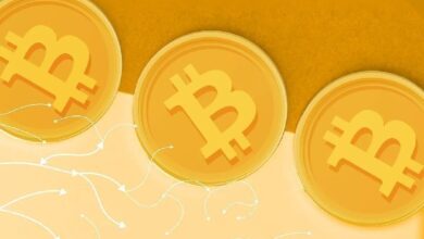 CIO Bitwise: биткоин еще не достиг дна цикла — Крипто Новости