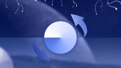 Base активирует обновление Beryl 25 июня — Крипто Новости