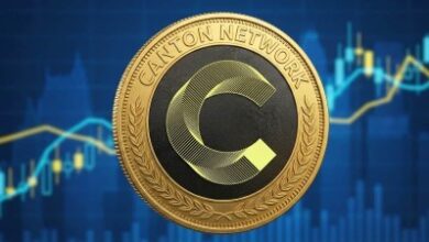 Canton Network возглавила рейтинг по объёму комиссий благодаря активности институциональных инвесторов в первом квартале 2026 года — Крипто Новости