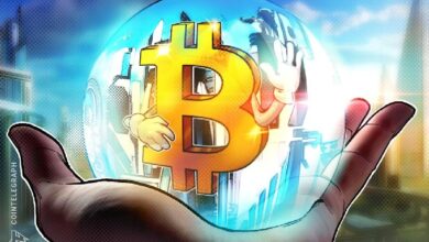 CEO CryptoQuant назвал «очистку рынка» условием для роста биткоина — Крипто Новости