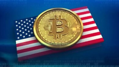Эксперт предупреждает американские учреждения о биткоине (BTC): «Подумайте хорошенько!» — Крипто Новости