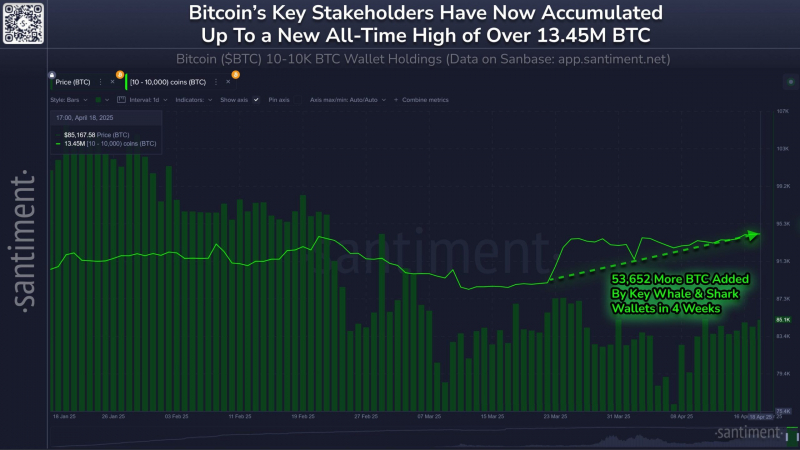Киты скупили биткоин на $4,7 млрд: цена BTC достигла $87 400 &mdash; Крипто Новости