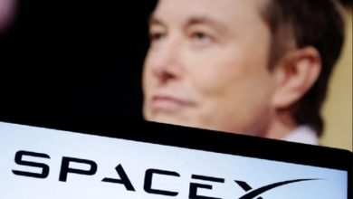 Компания Илона Маска SpaceX завтра проведет историческое IPO! Акции SpaceX будут торговаться в этой сети альткоинов! — Крипто Новости