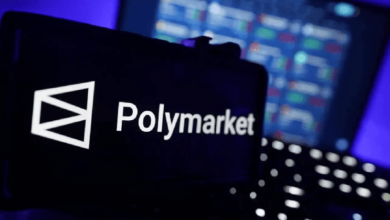Компания Polymarket оштрафована в Нидерландах на 487 000 долларов за то, что приостановила предоставление услуг на один день позже, чем следовало — Крипто Новости