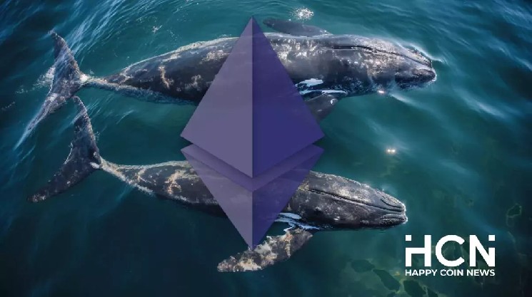 Крупные держатели накопили более 510,000 ETH после падения актива ниже $1,600 — Крипто Новости