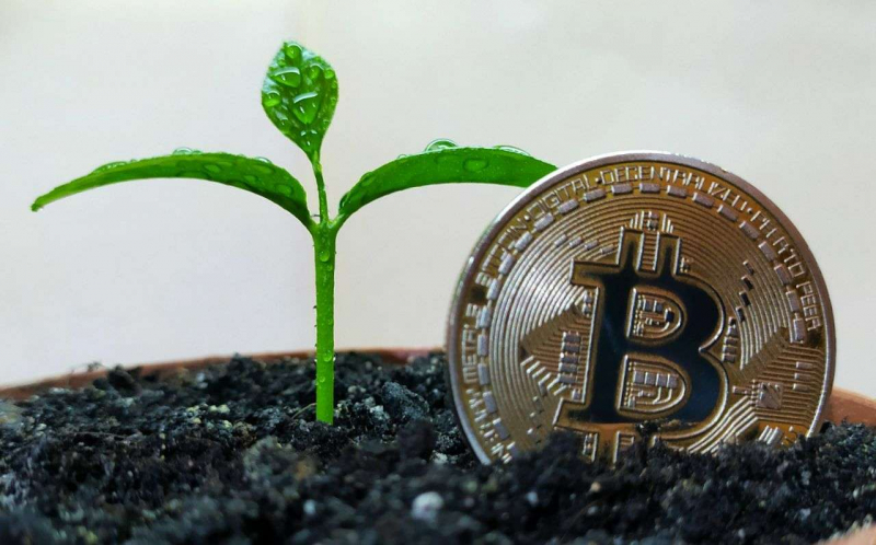 Мифы и реальные факты про биткоин в 2023 году &mdash; Крипто Новости