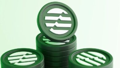 Популярная блокчейн-сеть первого уровня объявила о сжигании тысяч токенов! Вот подробности — Крипто Новости