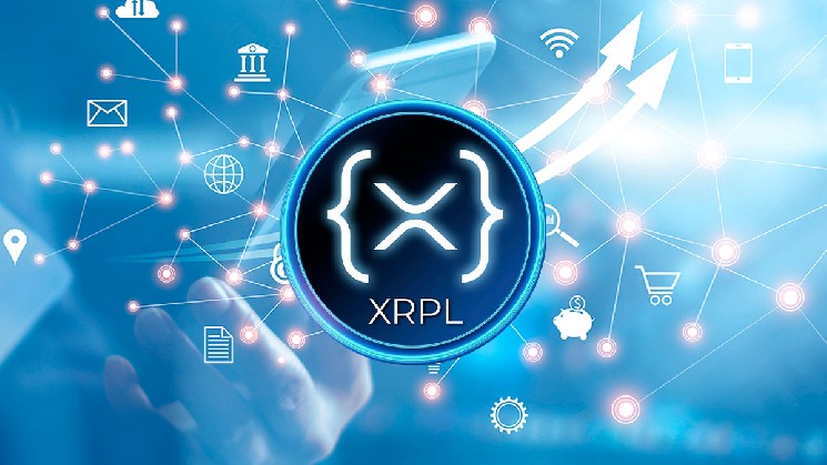 Приближается запуск XRP Ledger 3.2.0, основная система переименовывается с rippled на XRPLD &mdash; Крипто Новости