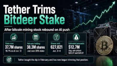 Tether сокращает долю в Bitdeer после того, как развитие ИИ привело к росту акций компаний, занимающихся майнингом биткоинов — Крипто Новости