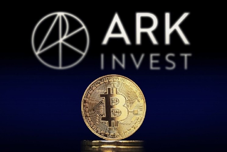 Аналитическая компания ARK Invest представляет подробный отчет о биткоине: достигли ли мы дна или вот-вот достигнем? — Крипто Новости