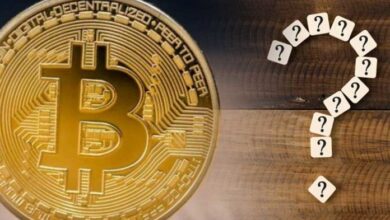 Аналитики Bitfinex представили исторические данные за июль, отвечая на вопрос: «Достиг ли биткоин своего дна?». Вот подробности — Крипто Новости