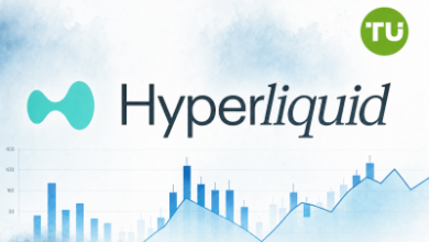 Безопасность Hyperliquid: как фишинговый дрейнер украл  000 у пользователя HyperSwap — Крипто Новости