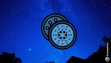 Биржи заморозили ночные переводы после того, как хакеры вывели 13 миллионов долларов из моста Wanchain — Крипто Новости