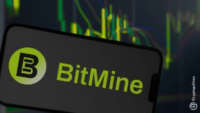Bitmine покупает Ethereum на дополнительные 36 миллионов долларов на фоне продолжающегося обвала рынка. Почему Том Ли до сих пор этим занимается? — Крипто Новости
