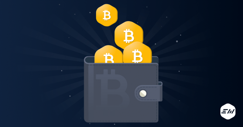 Хранение биткоинов &mdash; Крипто Новости