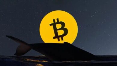 Инвестор, купивший биткоины по низкой цене 13 лет назад, перевел 500 BTC на Binance! Вот подробности — Крипто Новости
