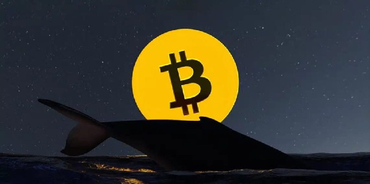 Инвестор, купивший биткоины по низкой цене 13 лет назад, перевел 500 BTC на Binance! Вот подробности — Крипто Новости