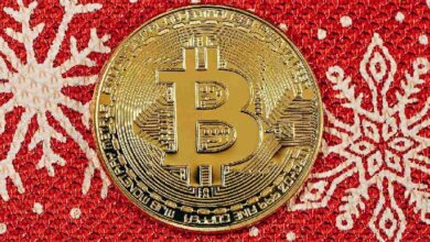 Искусственный интеллект ожидает рост биткоина к 25 декабря — Крипто Новости