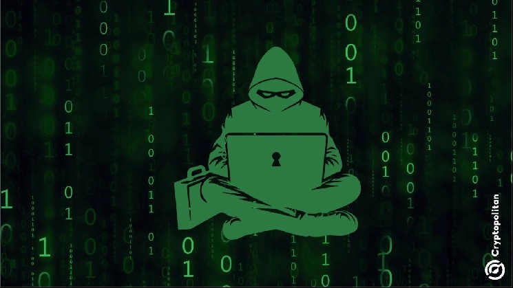Из BonkDAO выкачали 20 миллионов долларов в результате атаки на систему управления, BONK падает &mdash; Крипто Новости