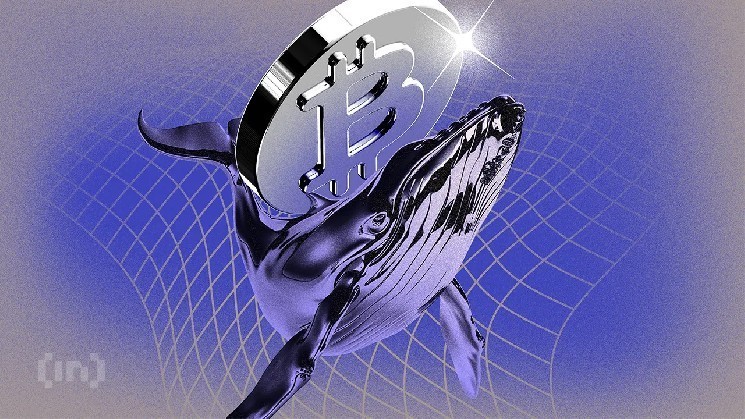 Киты выводят биткоины с бирж. Готов ли BTC к росту &mdash; Крипто Новости