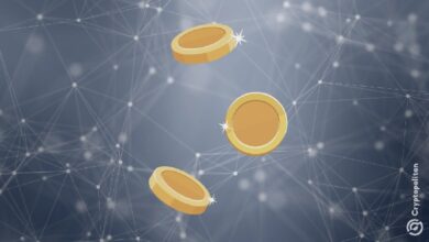 Компания DeFi Dev Corp передает контроль над DisclaimerCoin генеральному директору ZeroStack — Крипто Новости