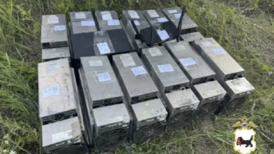 Неизвестные спрятали майнинговую ферму в сибирском лесу — Крипто Новости