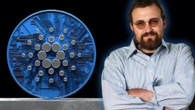 Основатель Cardano Чарльз Хоскинсон рассказал о снижении цены ADA — Крипто Новости