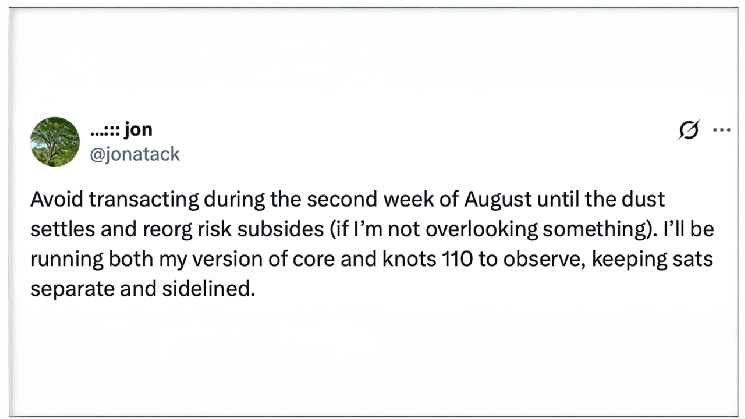 Разработчик Bitcoin Core предупреждает пользователей о необходимости приостановить переводы BTC по мере приближения срока вступления в силу BIP-110 &mdash; Крипто Новости
