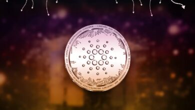Разработчики Cardano предали управление узлом сообществу — Крипто Новости