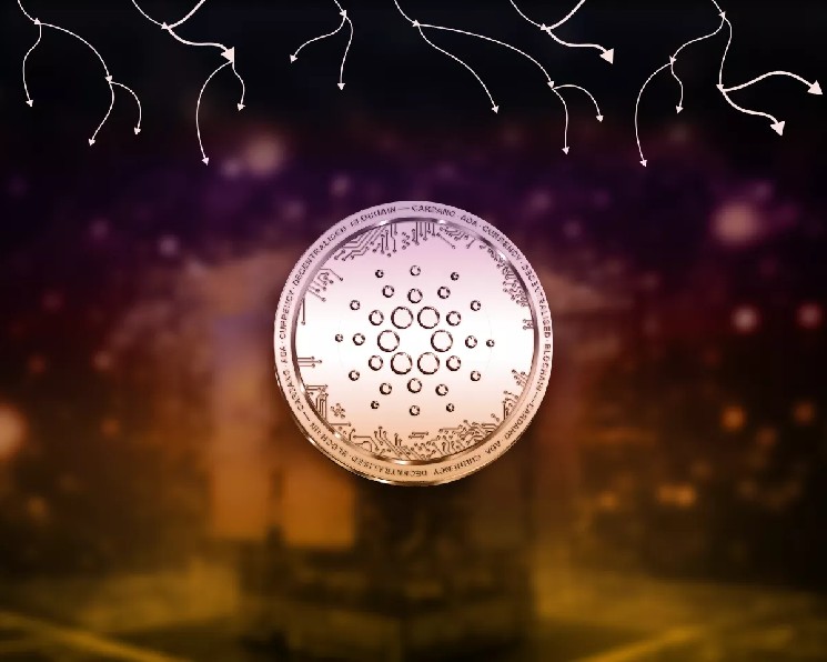 Разработчики Cardano предали управление узлом сообществу &mdash; Крипто Новости
