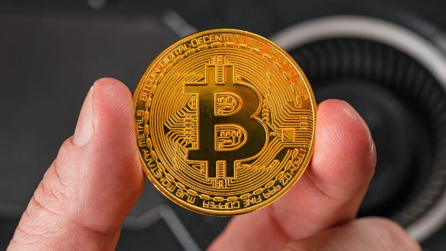 Стало известно количество биткоинов у крупных инвесторов &mdash; Крипто Новости