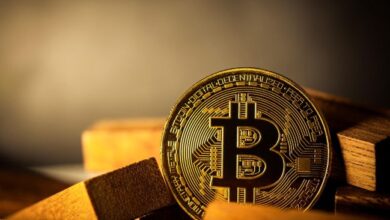 Sui запустил тестнет Hashi для расширения возможностей биткоина — Крипто Новости