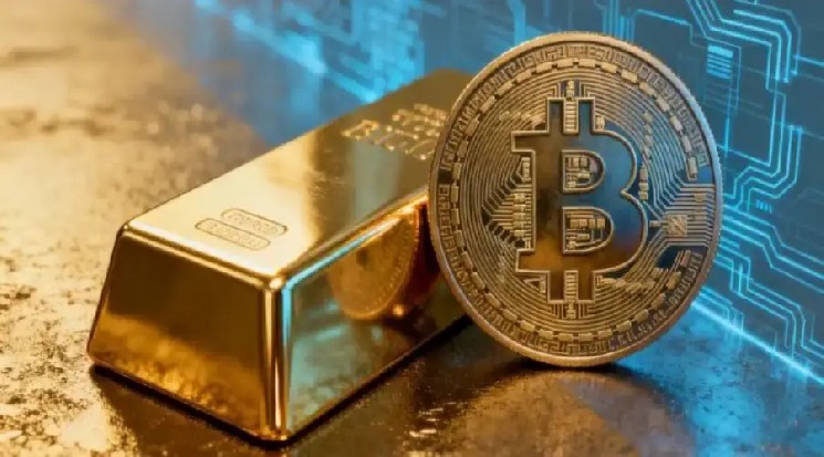 Топ-менеджер QCP Capital назвал биткоин &laquo;меняющим свой характер гибридом&raquo; &mdash; Крипто Новости