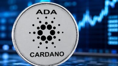 Внимание, подписчики Cardano (ADA): в августе грядут масштабные изменения! — Крипто Новости
