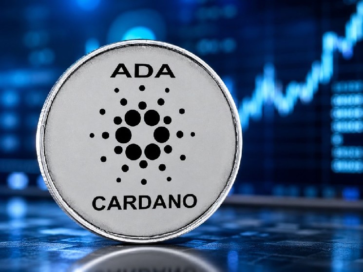 Внимание, подписчики Cardano (ADA): в августе грядут масштабные изменения! &mdash; Крипто Новости