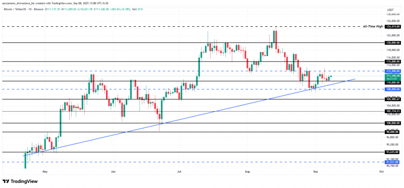Вот почему биткоин (BTC) может упасть на 8% до $101 000, прежде чем достигнет нового максимума &mdash; Крипто Новости