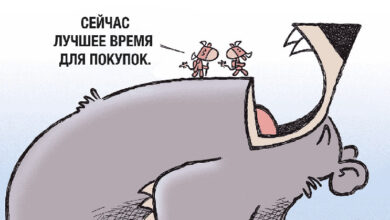 Аналитики Bravo Research рассчитывают купить биткоин по цене  000 — Крипто Новости