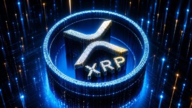 Бывший технический директор Ripple Дэвид Шварц сделал признание об XRP! Он рассказал, сколько XRP у него еще осталось! — Крипто Новости