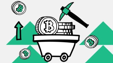 Доходность майнинга за месяц выросла на 10%. Сколько стоит добыть биткоин — Крипто Новости