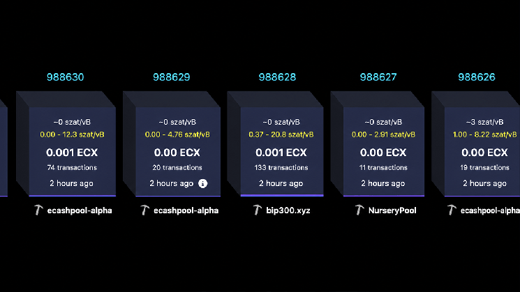 Форк биткоина ECX, созданный Полом Шторцем, преодолел отметку в 25 000 блоков всего за 13 часов &mdash; Крипто Новости