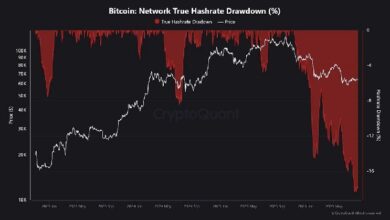 Хешрейт биткоина снизился на 17 % по сравнению с рекордным показателем, поскольку майнеры переключаются на ИИ — Крипто Новости