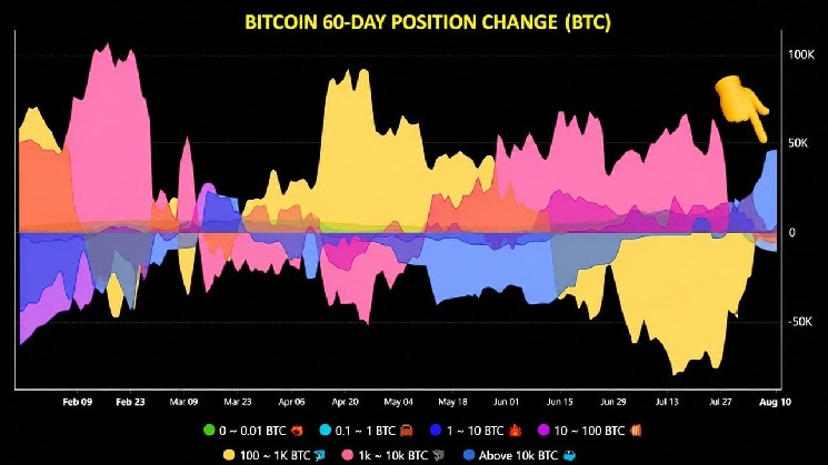 «Кит-инвесторы» в биткойнах увеличили свои запасы на 43 000 BTC, положив конец продолжавшейся несколько месяцев волне продаж — Крипто Новости