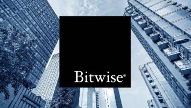 Компания Bitwise неожиданно переместила XRP на сумму ,58 млн — Крипто Новости