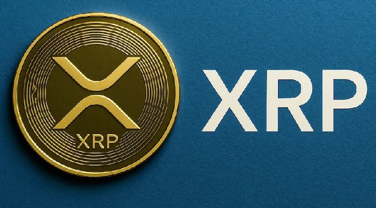 Мошенники придумали новую схему кражи XRP у ходлеров &mdash; Крипто Новости
