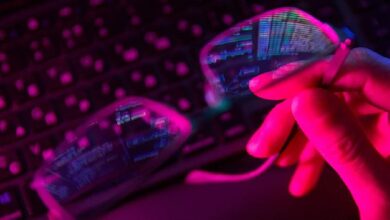 Натапали тут: мошенники нашли новый способ обмана игроков Hamster Kombat — Крипто Новости