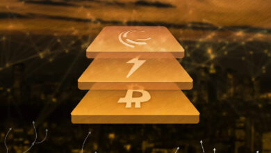 Сооснователь Stacks спрогнозировал крах большинства L2-решений для биткоина — Крипто Новости