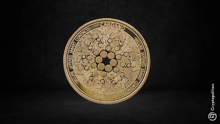 Технический директор Cardano Foundation уйдет в отставку в августе этого года &mdash; Крипто Новости