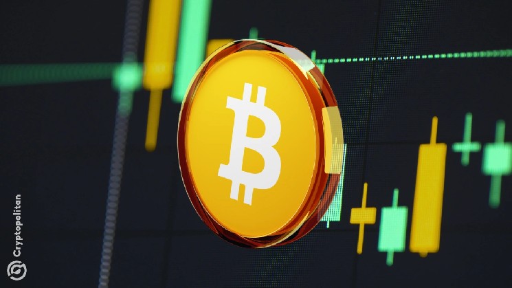 В прямом эфире: Bitcoin внезапно достиг отметки в 75 000 долларов &mdash; Крипто Новости