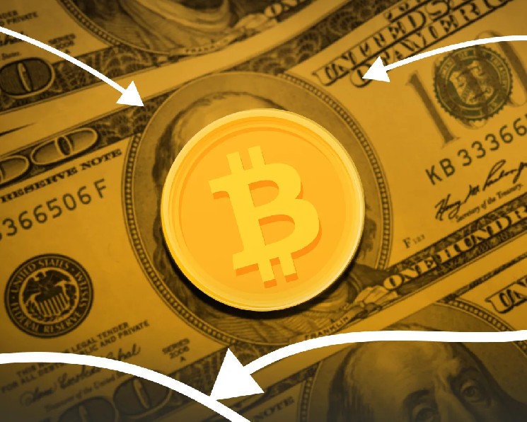 Bitwise: американские тарифы и слабый доллар укрепят биткоин &mdash; Крипто Новости