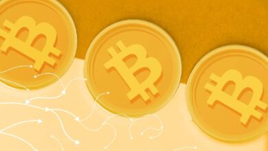 Британец вернул 61 BTC спустя 12 лет — Крипто Новости